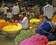 Flower Vendors