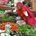 produce vendor